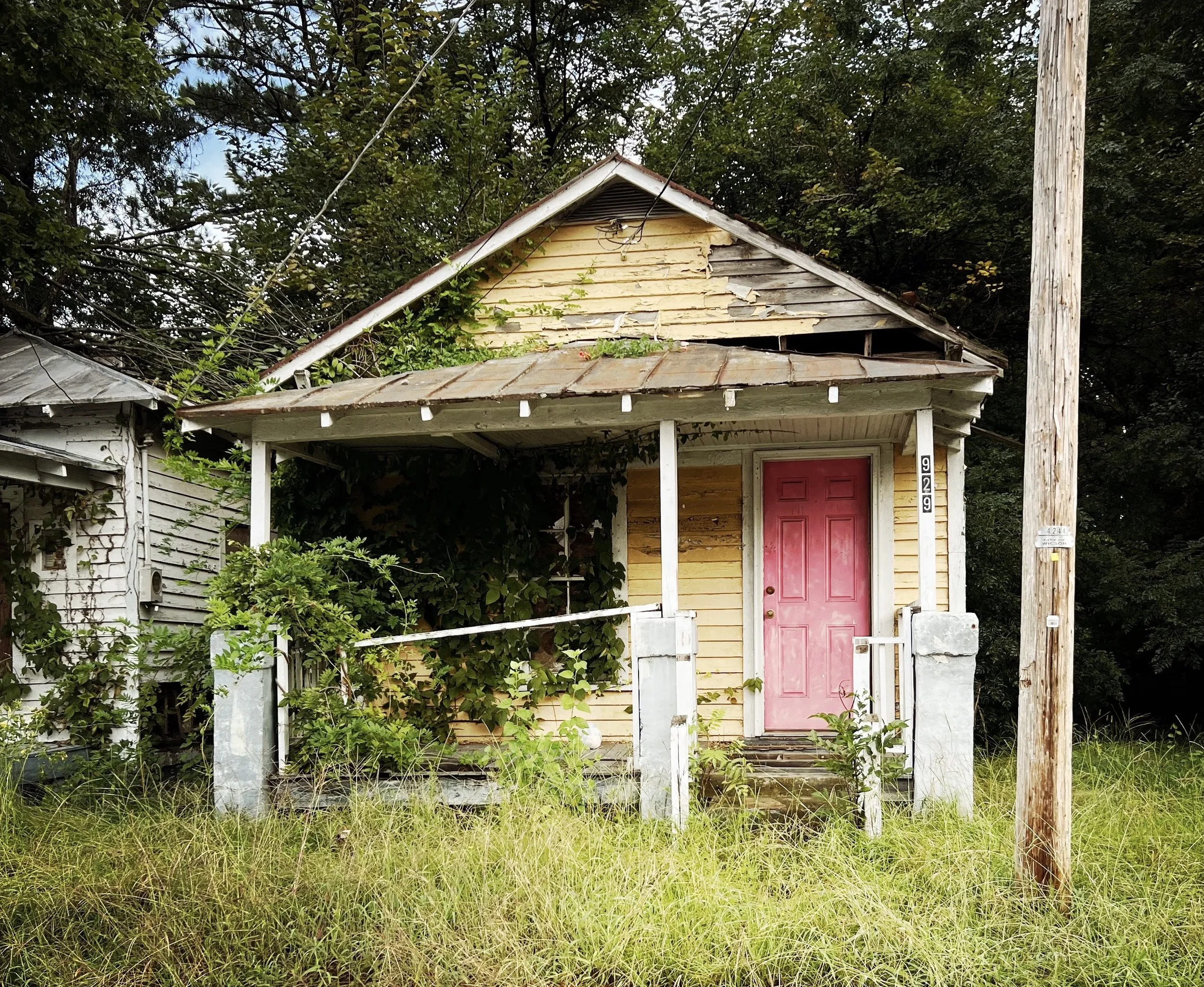  ANYIKA BAILEY’S HEIRS’ PROPERTY SHOTGUN 