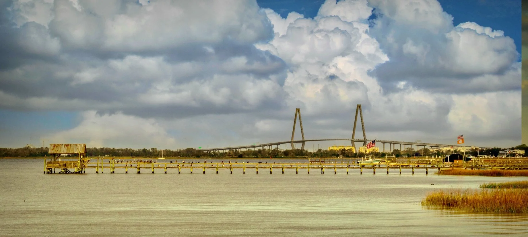  CHARLESTON ESTUARY 