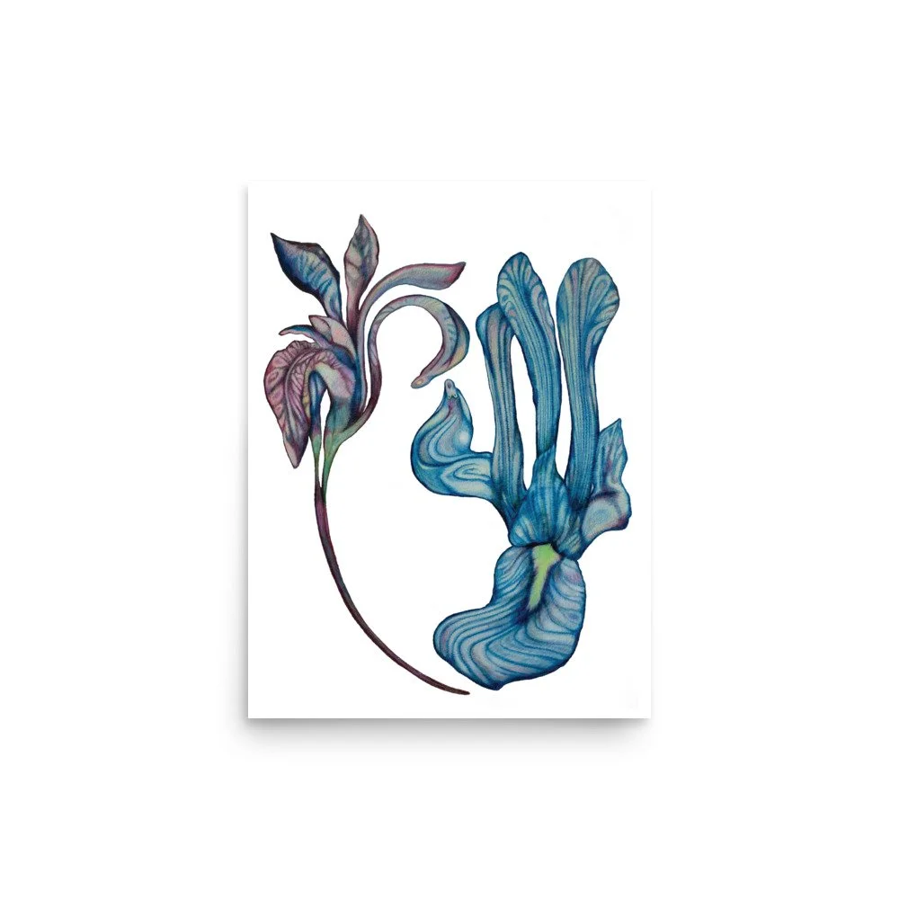 enhanced-matte-paper-poster-(in)-12x16-front-68a28bc6221c6.jpg