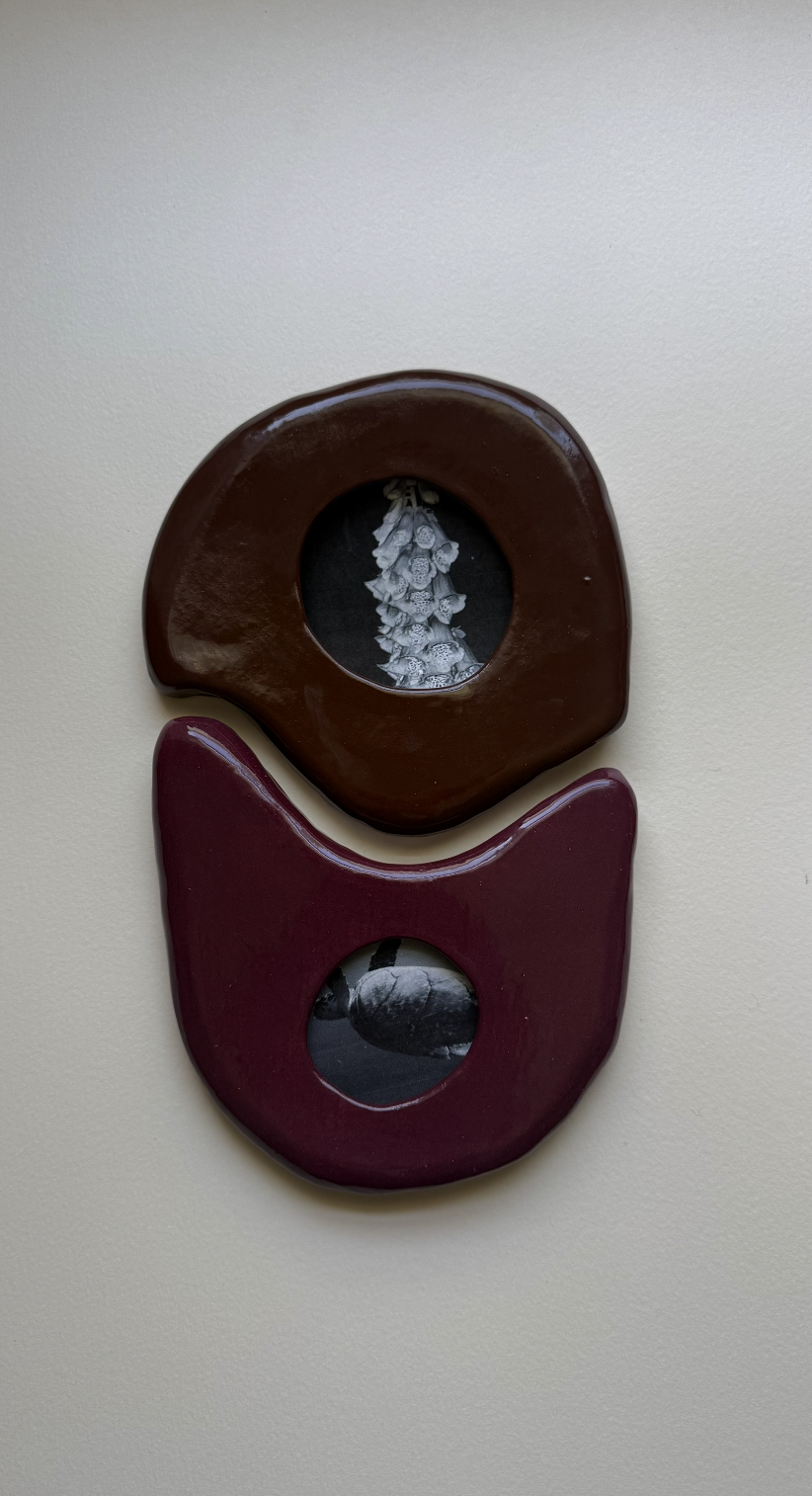 Mitosis Memory Home: Pre Order