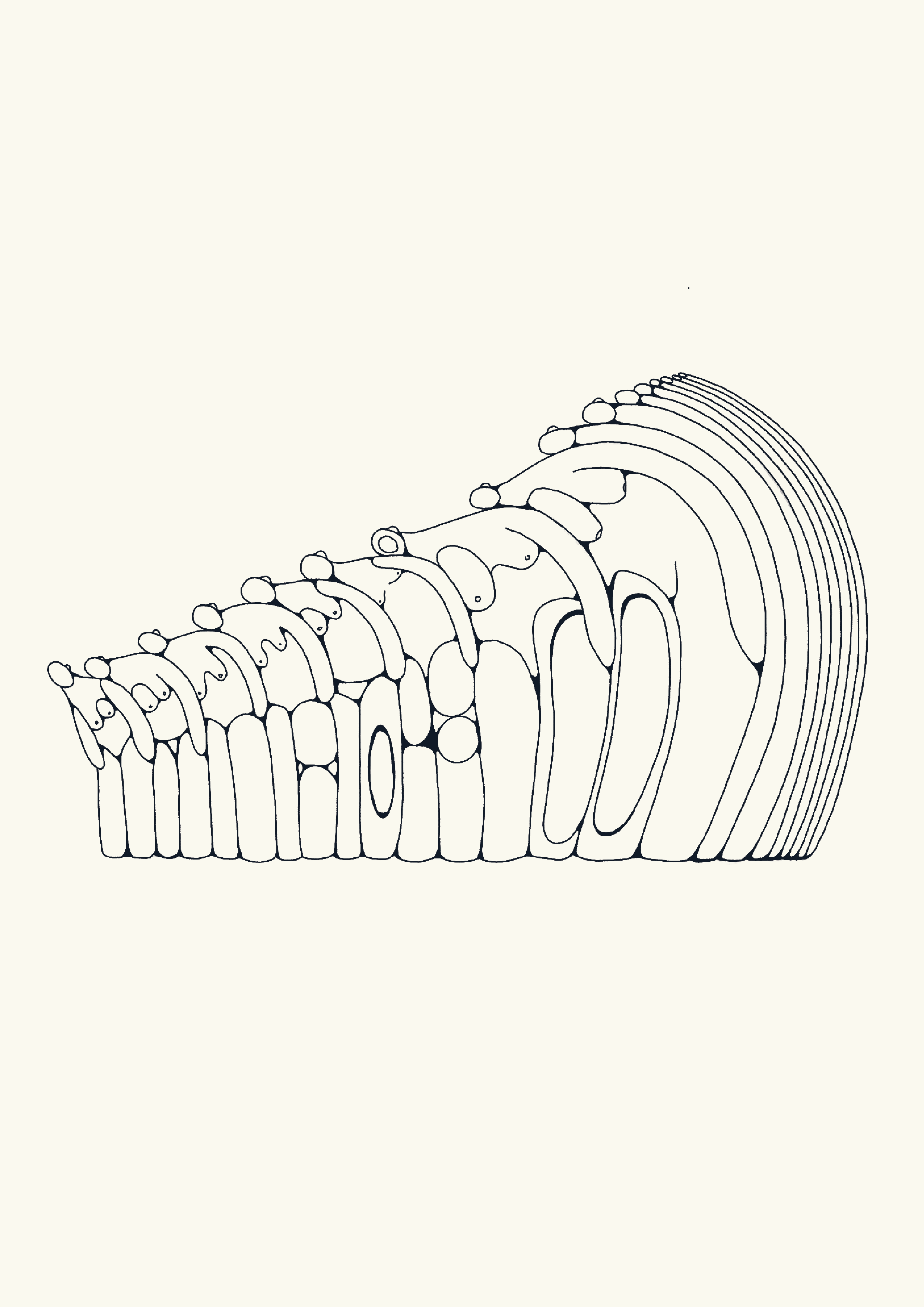tattoopermit-01.png