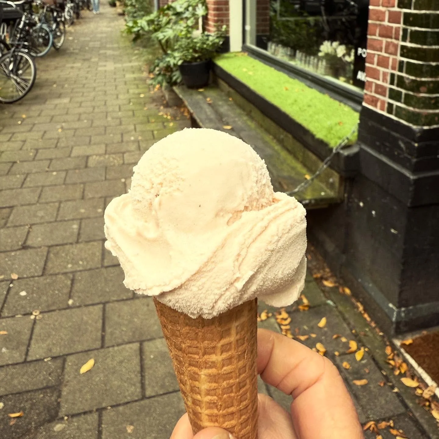 Walnut gelato from Sotto Zero