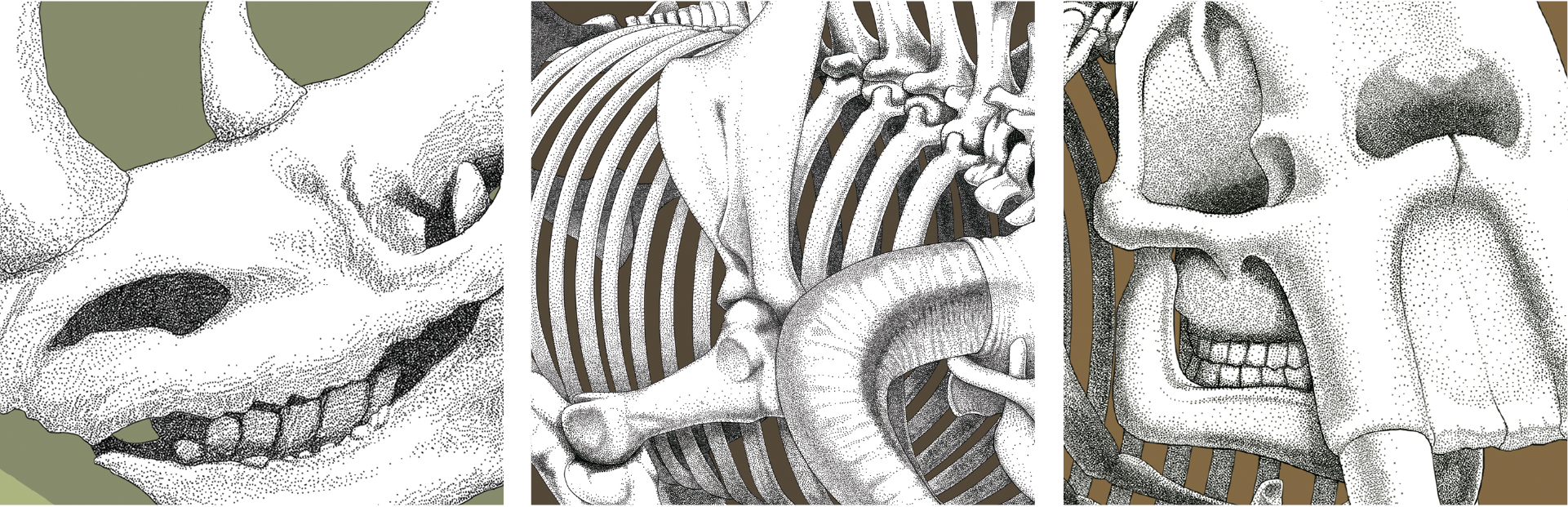 Landrover_Mighty Beast-04.png