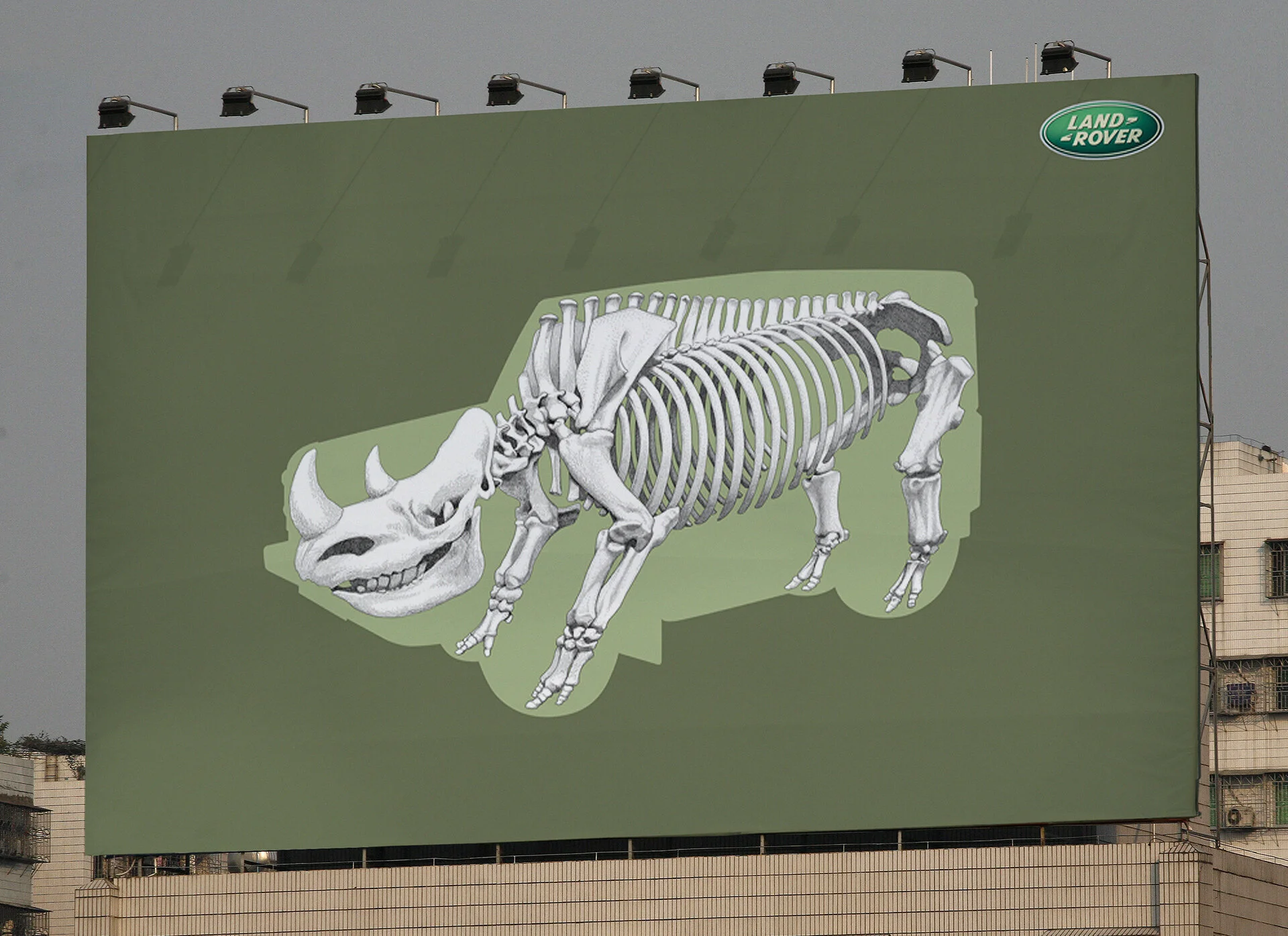Billboard-Rhino.jpg