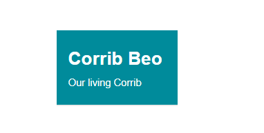 Our Living Corrib