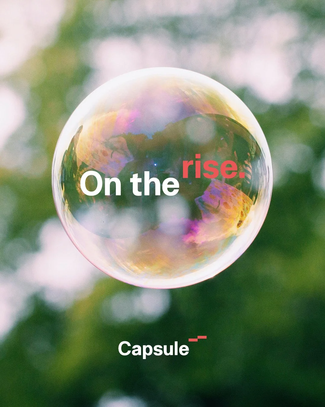 Capsule_Insta3.jpg