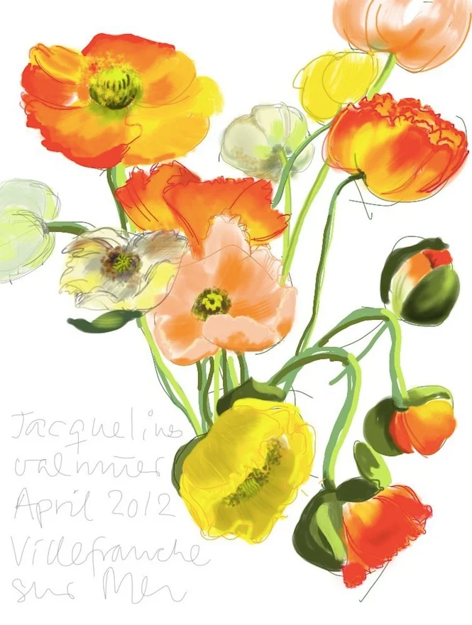 My Poppies