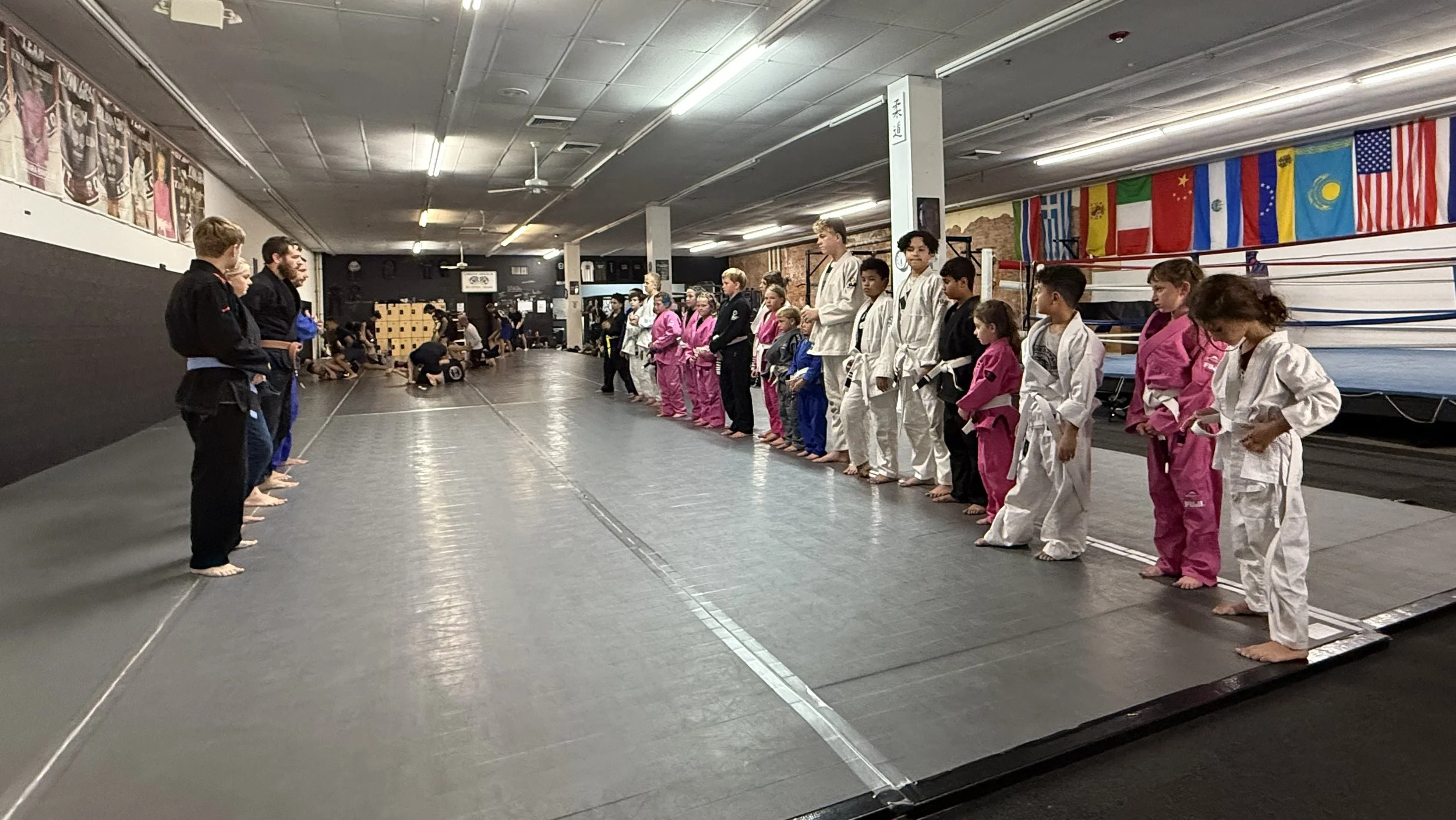 Little Bulldogs Brazilian Jiu-Jitsu BJJ Judo