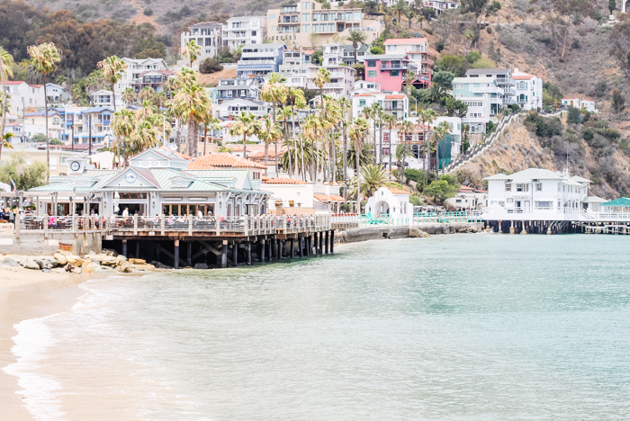 catalina-island-beach.jpg
