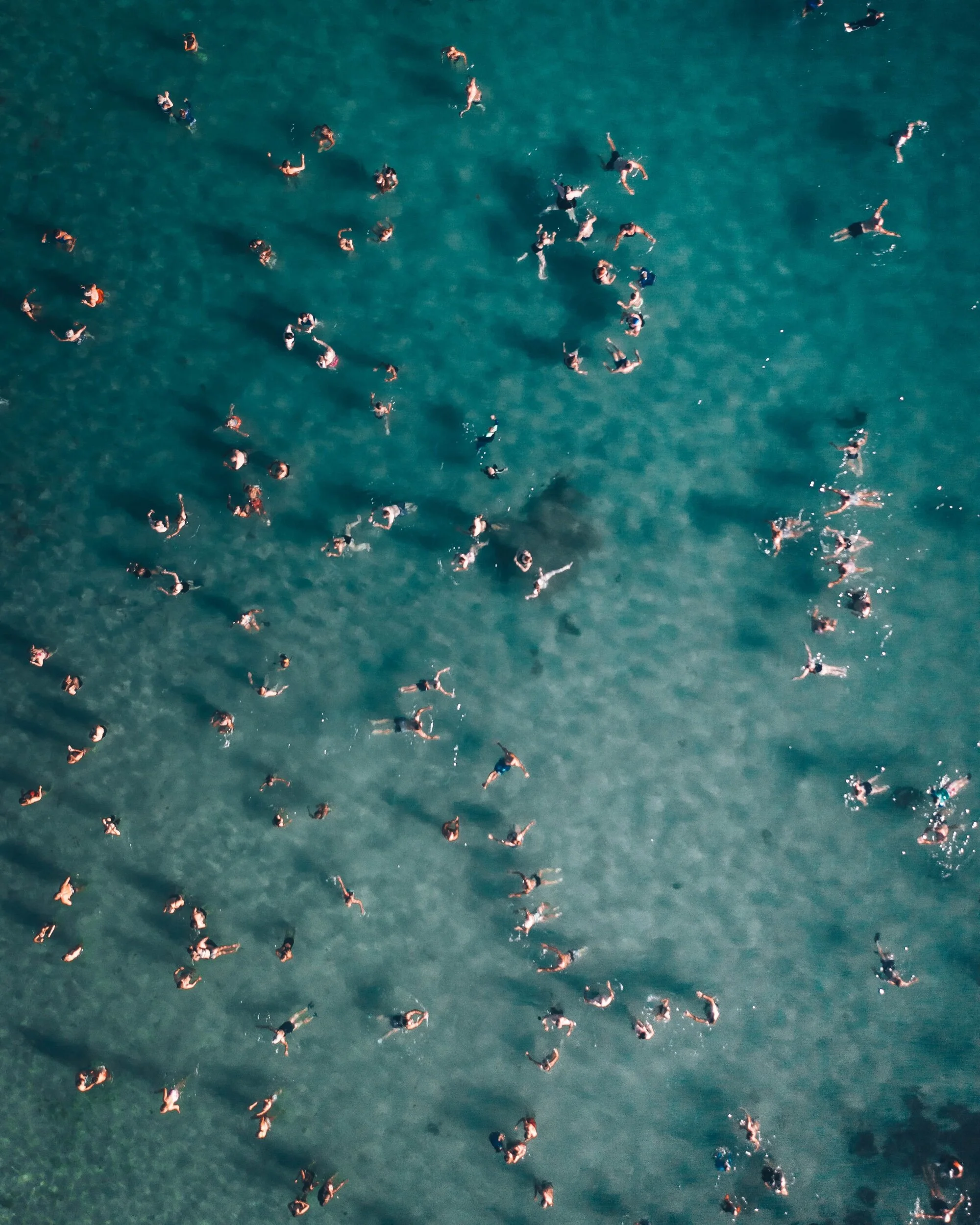 57EEF7FE-D461-4256-847A-D2200DF68DCC