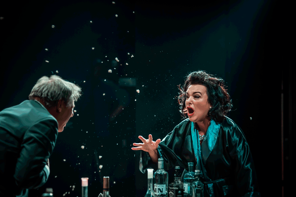 2014 – THEATRE KOPER  – Who's Afraid of Virginia Woolf?  – Director / Vito Taufer  – Photography / Jaka Varmuž  – Best Costume Award at the Regional Theater Festival “Days of Jurassic Roots”, Sarajevo, 2016