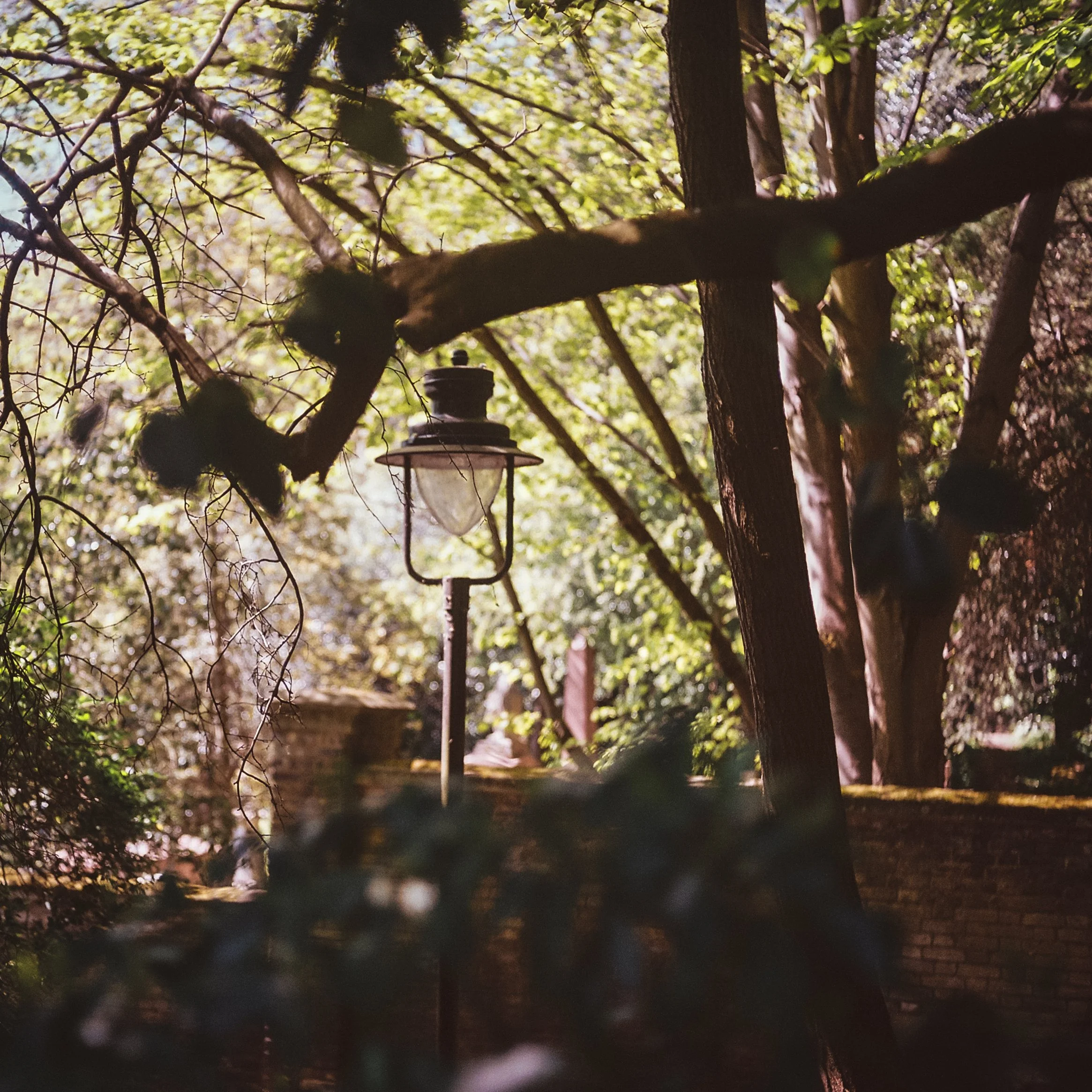 London Baby-5.jpg