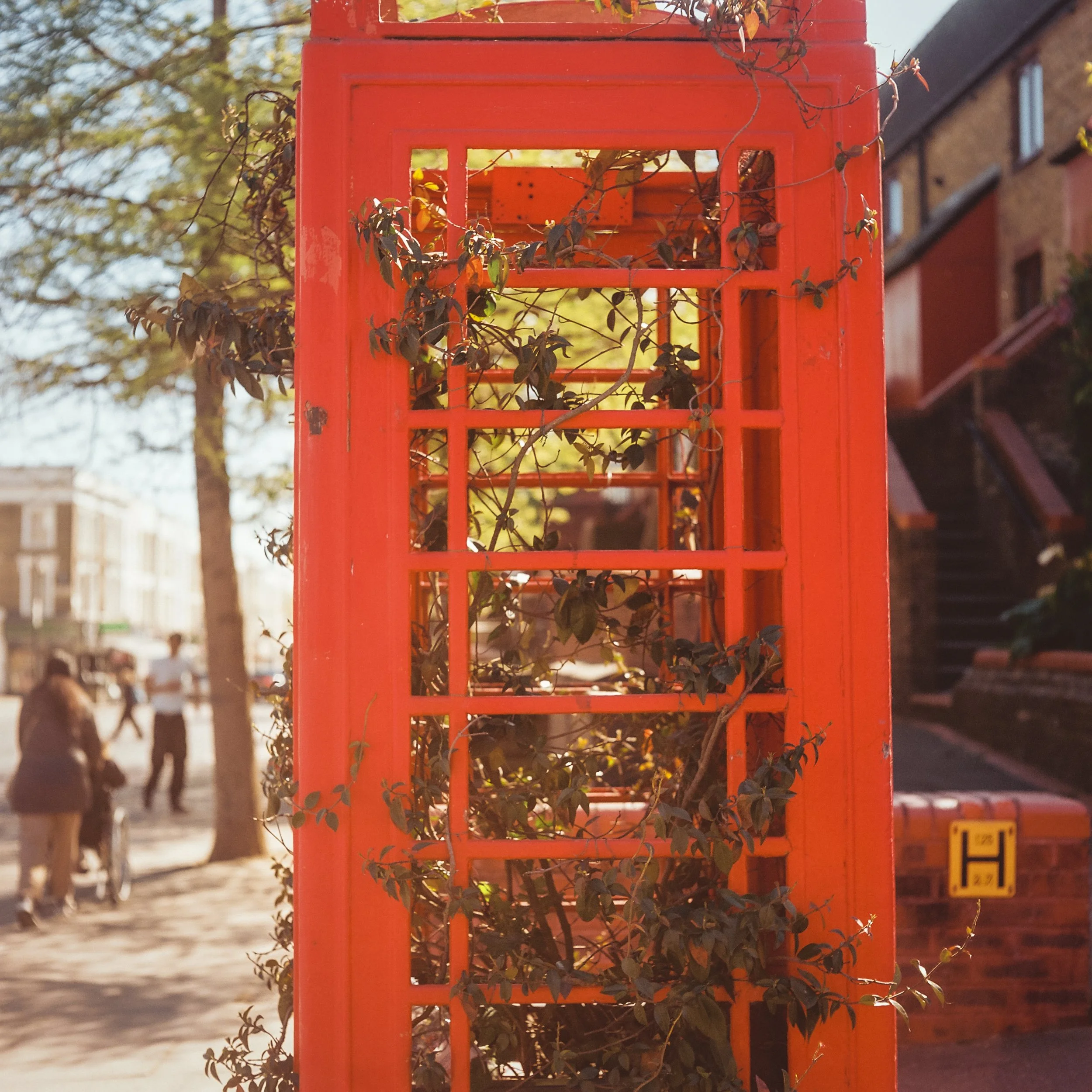 London Baby-10.jpg