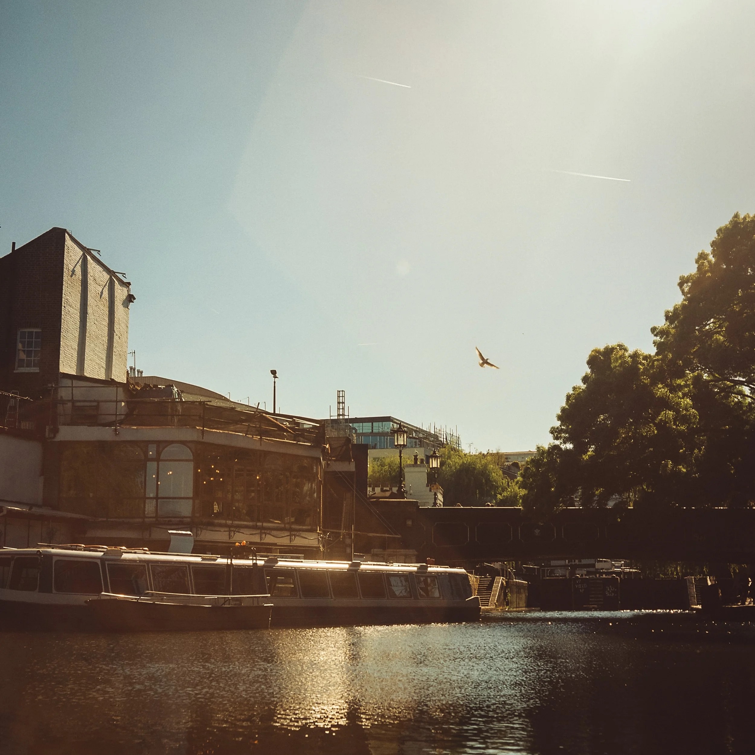 London Baby-21.jpg