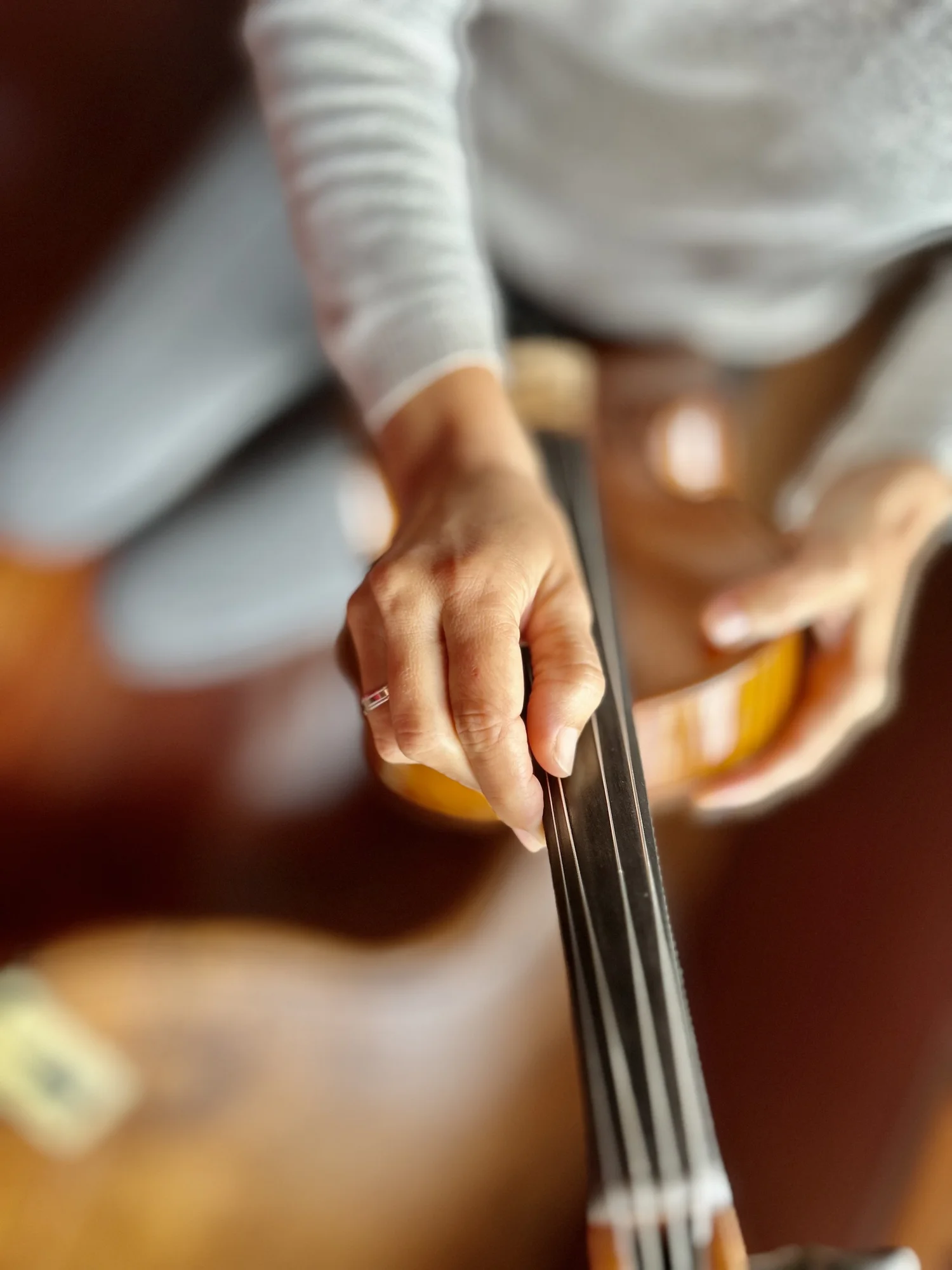How to change strings and tune a violin — Maite Iglesias