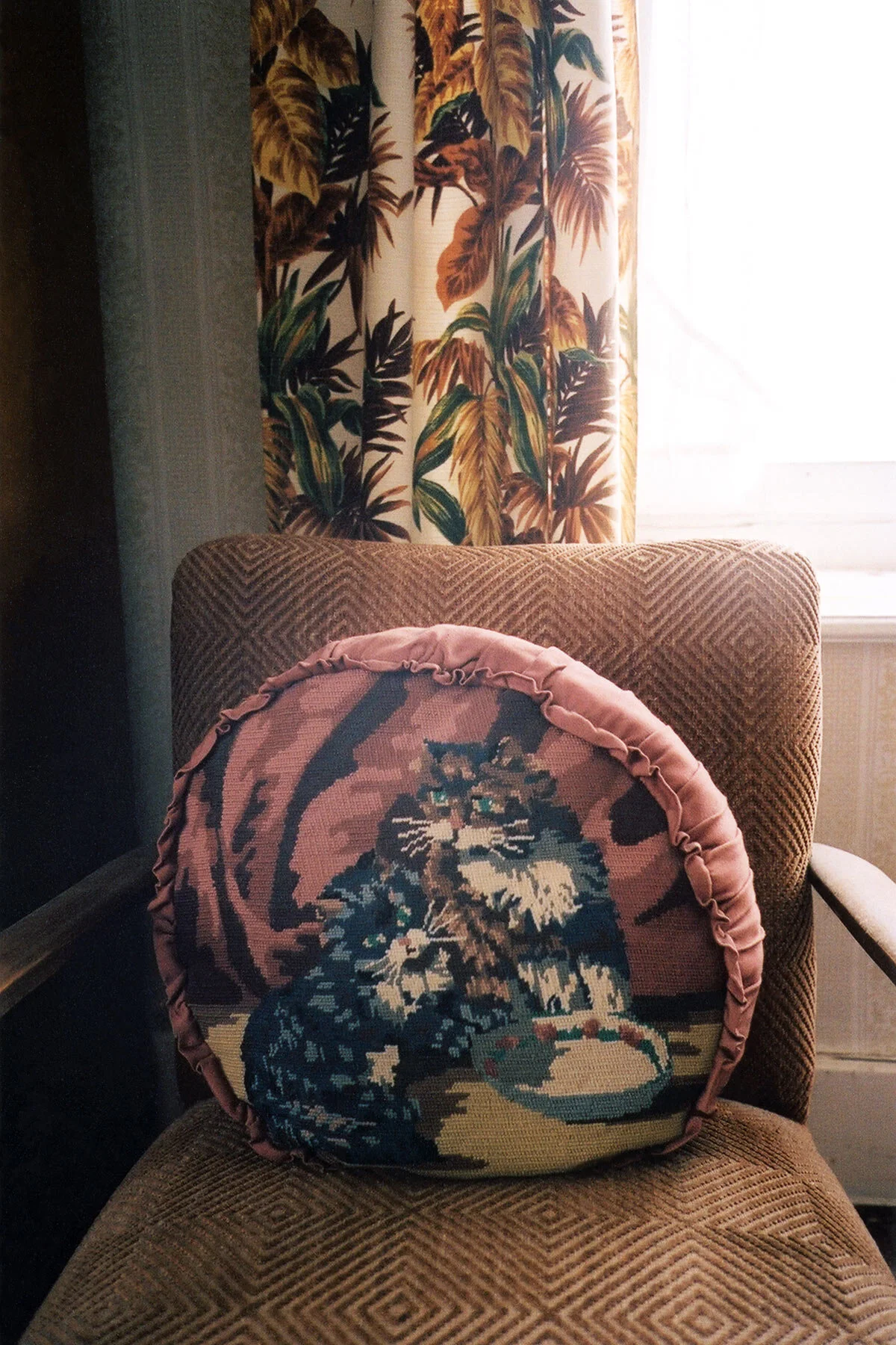 The-Farm_Coussin-chats-_chambre-d'en-haut_1800x1200.jpg.jpg