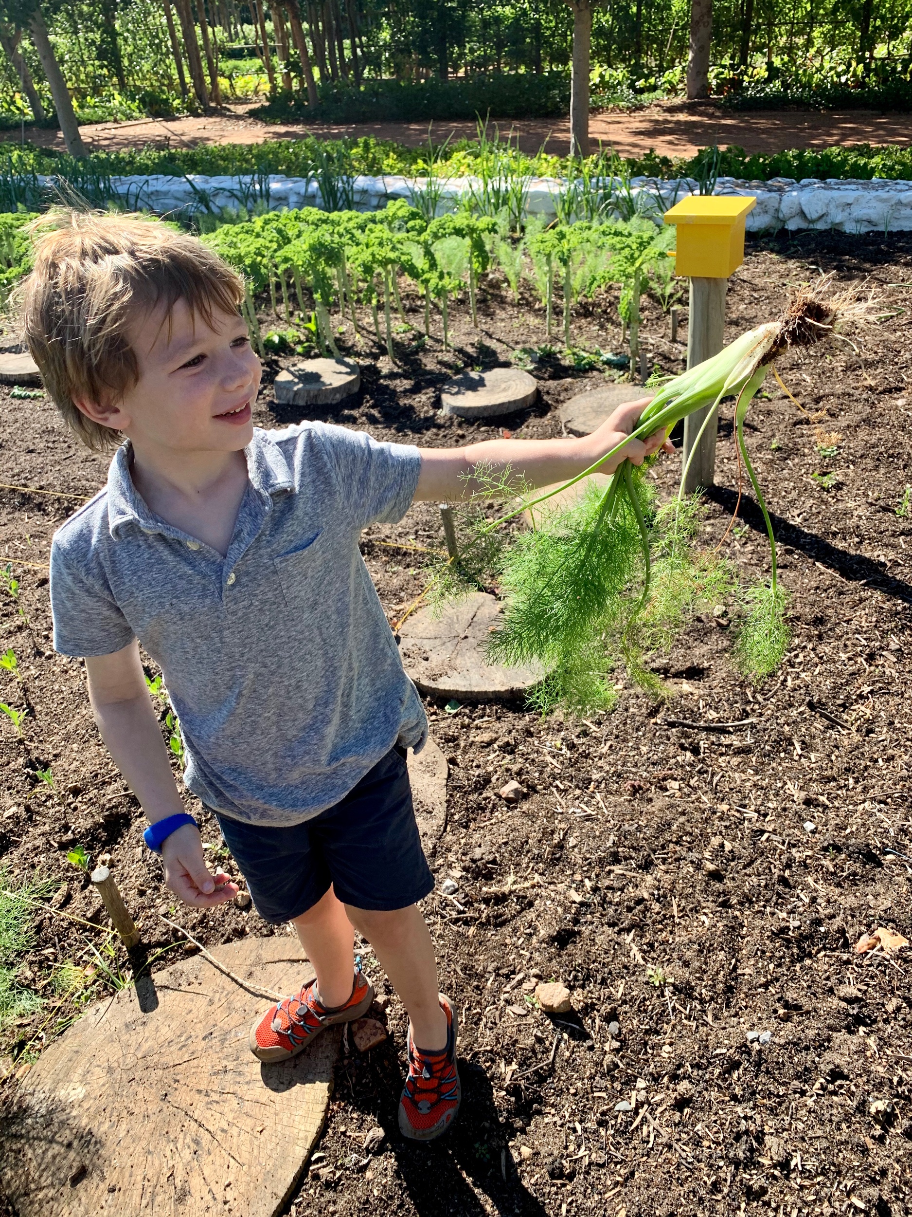 Hazel - Organic Farm Stay (Day 70)