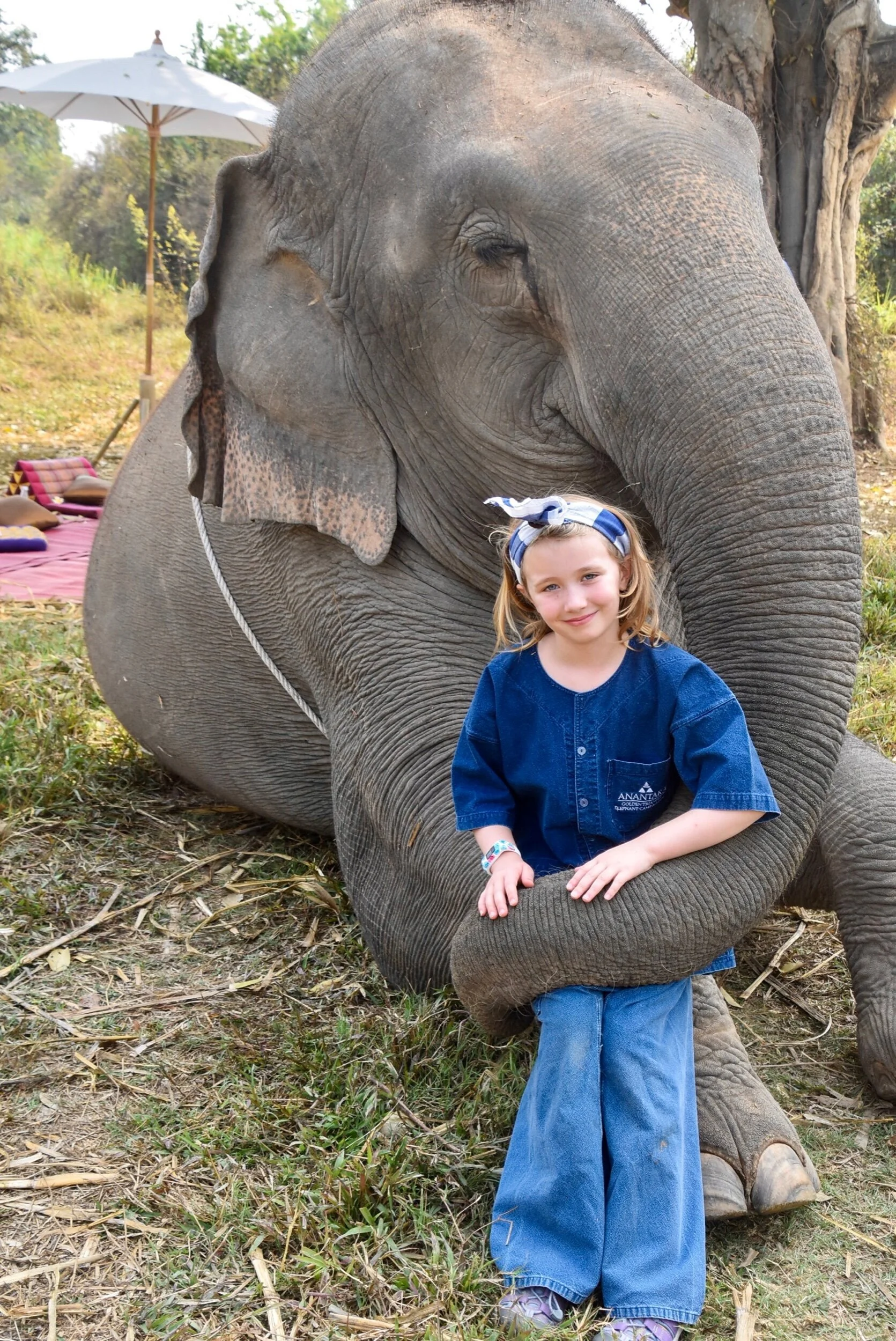 Hazel on Elephants (Day 159)