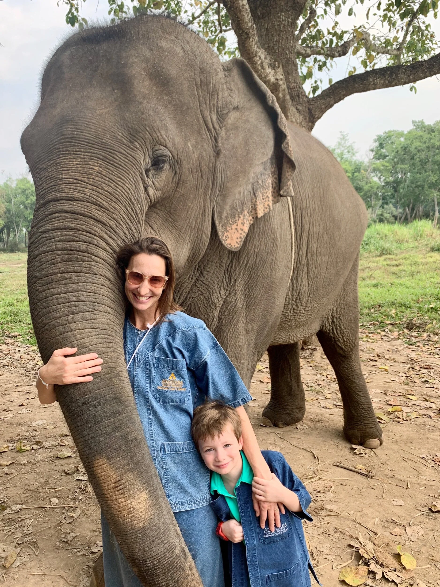 More Elephants (Day 161)