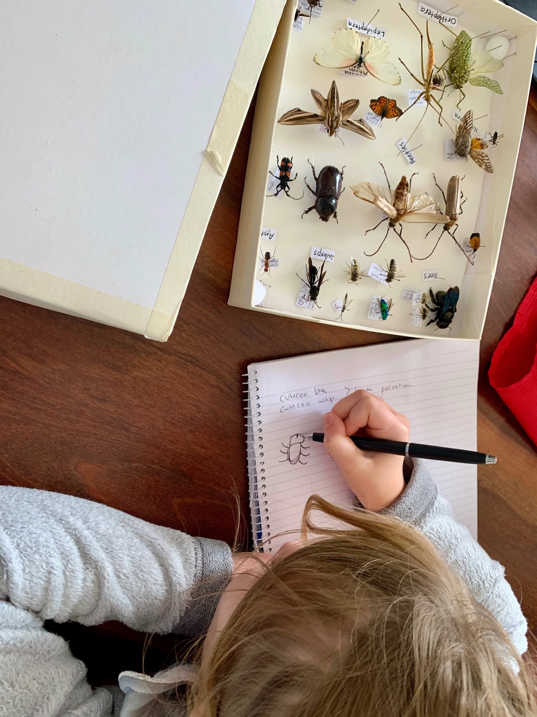 Homeschool Around the World (Day 282)