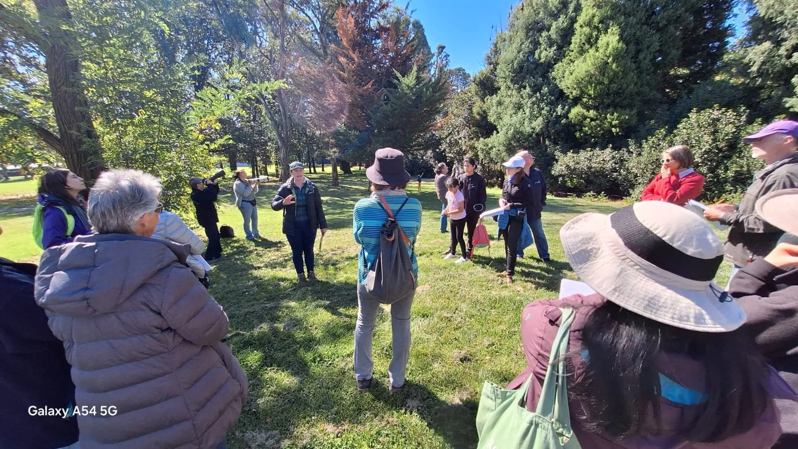 The Flying Foxes of Commonwealth Park — SEE-Change - Change for Society ...