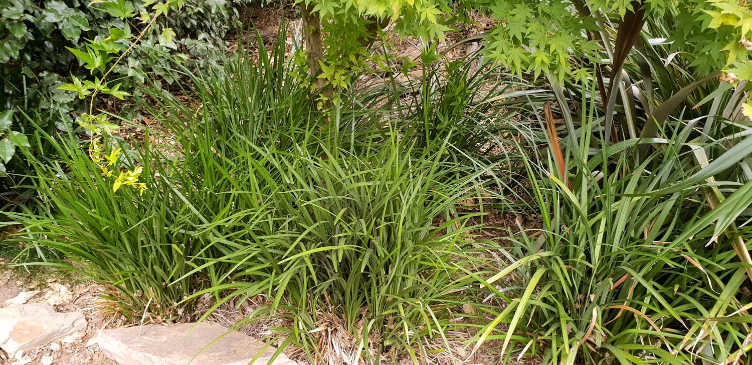 cool garden climate change.jpg