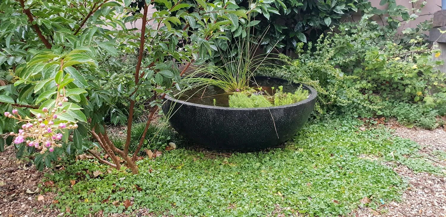 cool gardens for climate change.jpg