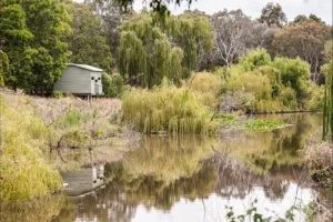 1st Tuesday at the Wetlands