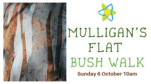 Mulligan’s Flat Bush Walk
