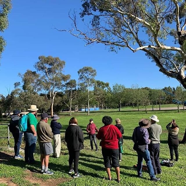 SEE-Change Gungahlin enjoyed the sunshine and blue skies yesterday at the Yerrabi Pond Bird Talk &amp; Walk, and spotted over 20 species of birds! 🐥 To stay in the loop with events like this, sign up to our newsletter (link in bio). You can also bec