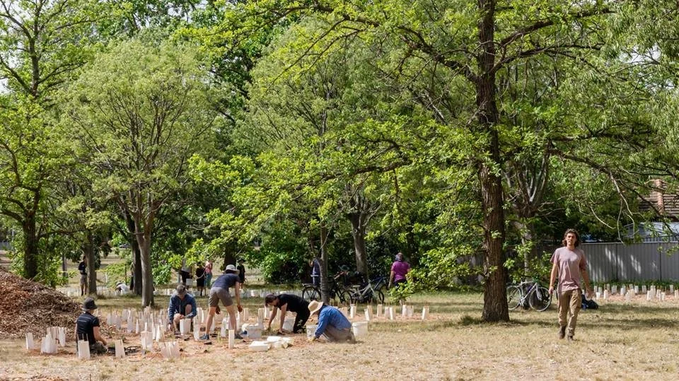 From the soil up: rewilding our city