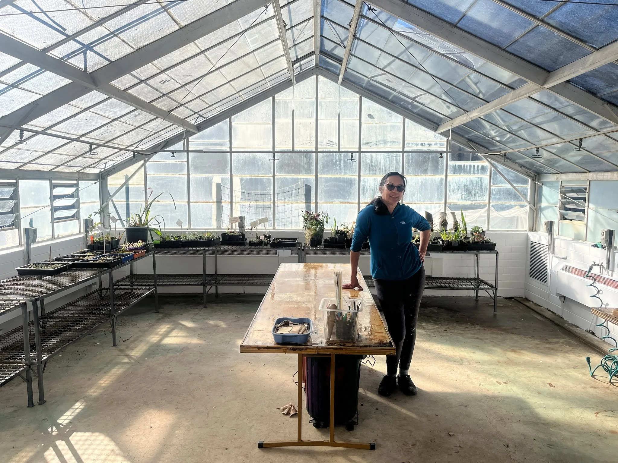 The Canberra Organic Gardeners Society (COGS) Dickson Commuity Garden recently revamped their greenhouse using tools borrowed from the Community Toolbox! They borrowed a number of items including the pressure washer, the shop vac, angle grinder, rive