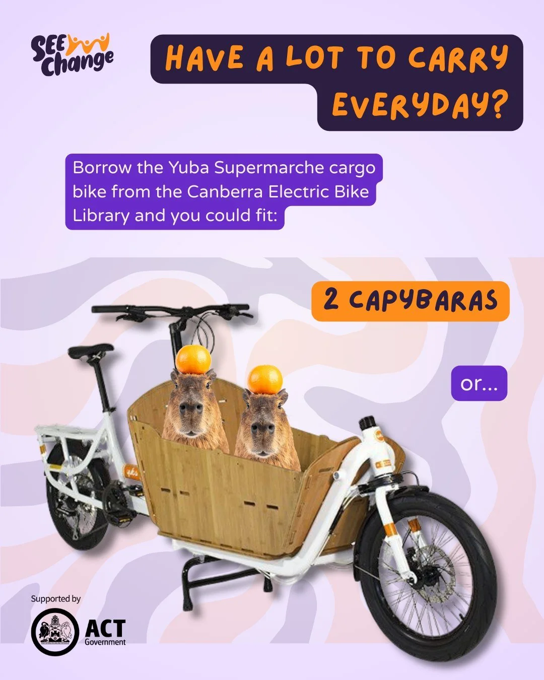 Want to get around on a bike but have a lot to carry?

Cargo bikes can carry much more than a regular bike. Get inspired by the ideas in this post (though you will need to source the capybaras and hobbits yourself) and then test out a cargo bike with