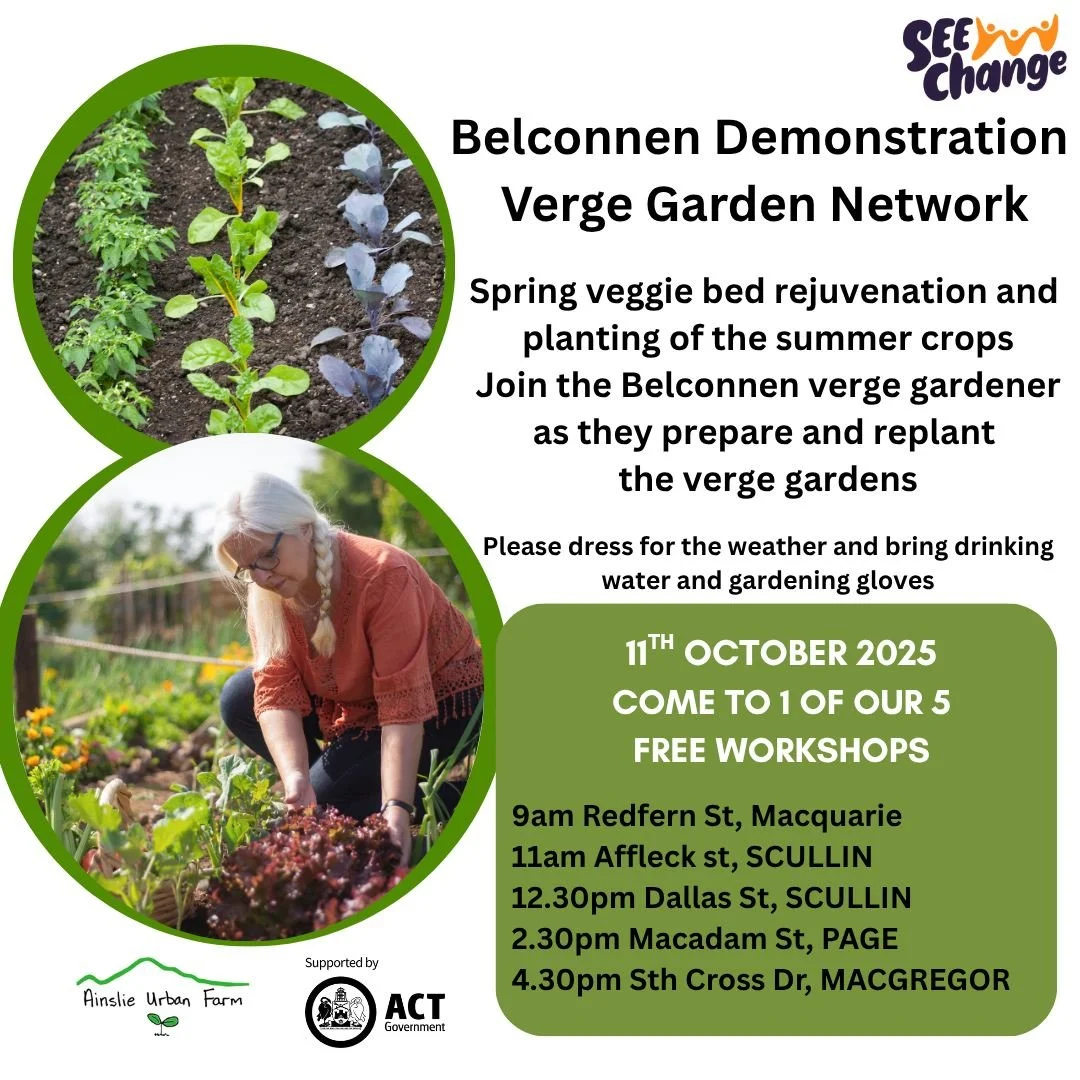 The next workshop in the Verge Garden Network project is this Saturday. The workshop will repeat the process of rejuvenating the garden beds for the next crop of home grown vegetables, at all five community verge gardens. 
This project is supported b