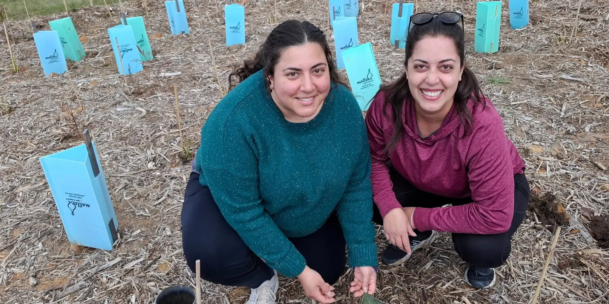 Spring planting - Gindilanwari - Dunlop Microforest