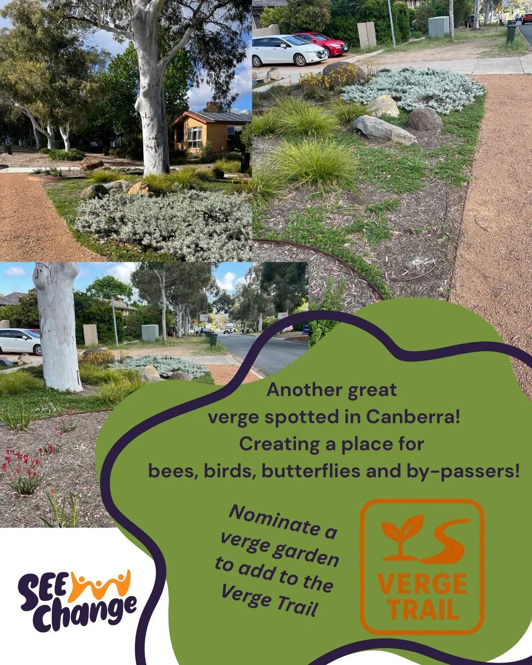 Plants on verges increase biodiversity, improves water retention and reduces run-off into our lakes. Even small spaces can make a difference when we all work together!
Click the link in the Bio to nominate a verge that makes you smile.
