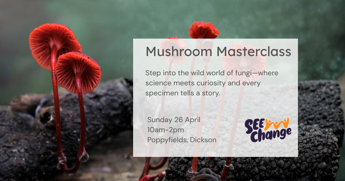 Mushroom masterclass with Alison Pouliot