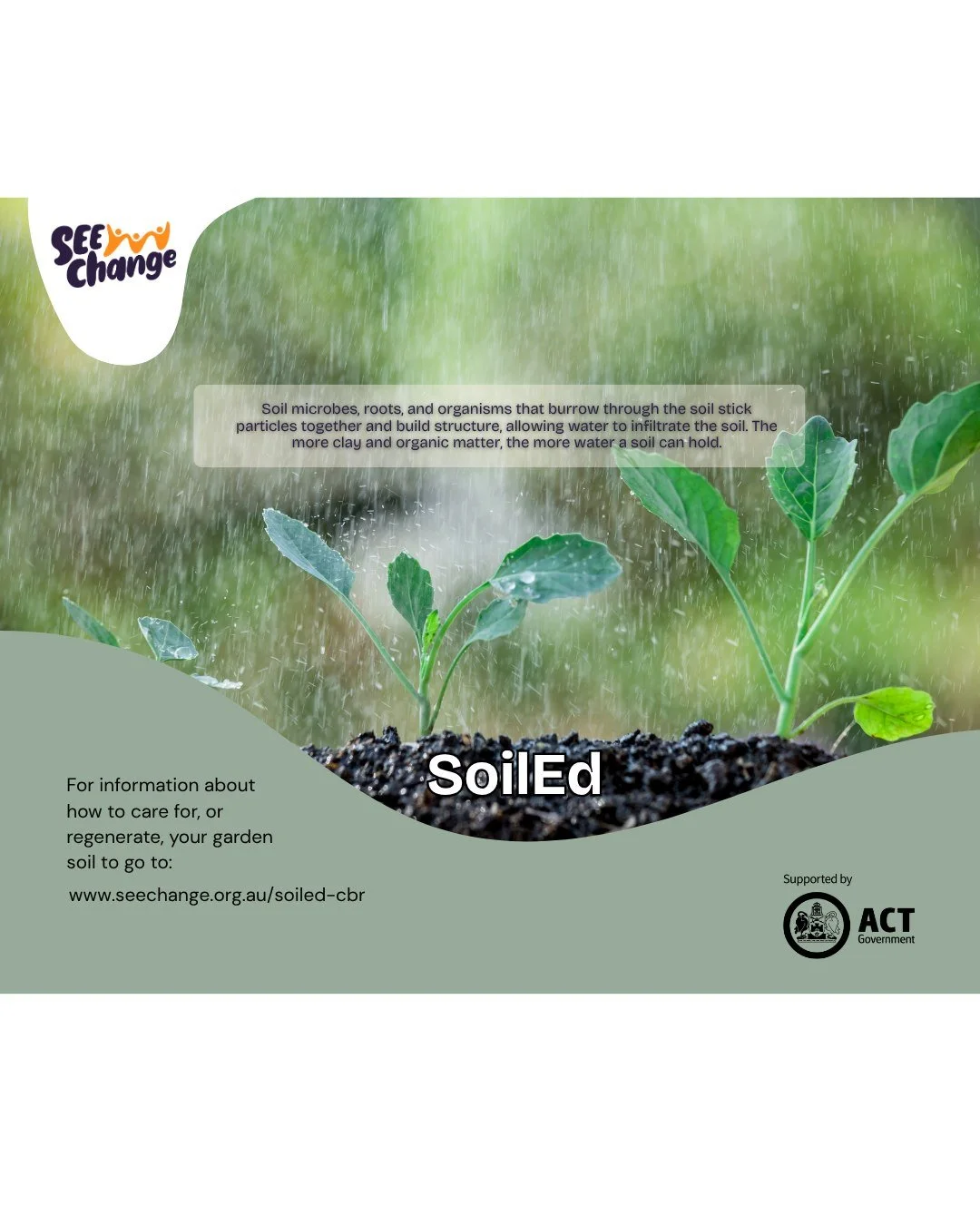 Soil is the thin layer of material that covers most of the land on Earth. It&rsquo;s made up of a mix of tiny rock particles, organic matter, water, air, and living organisms like worms, fungi, and bacteria. It may look simple, but soil is teeming wi