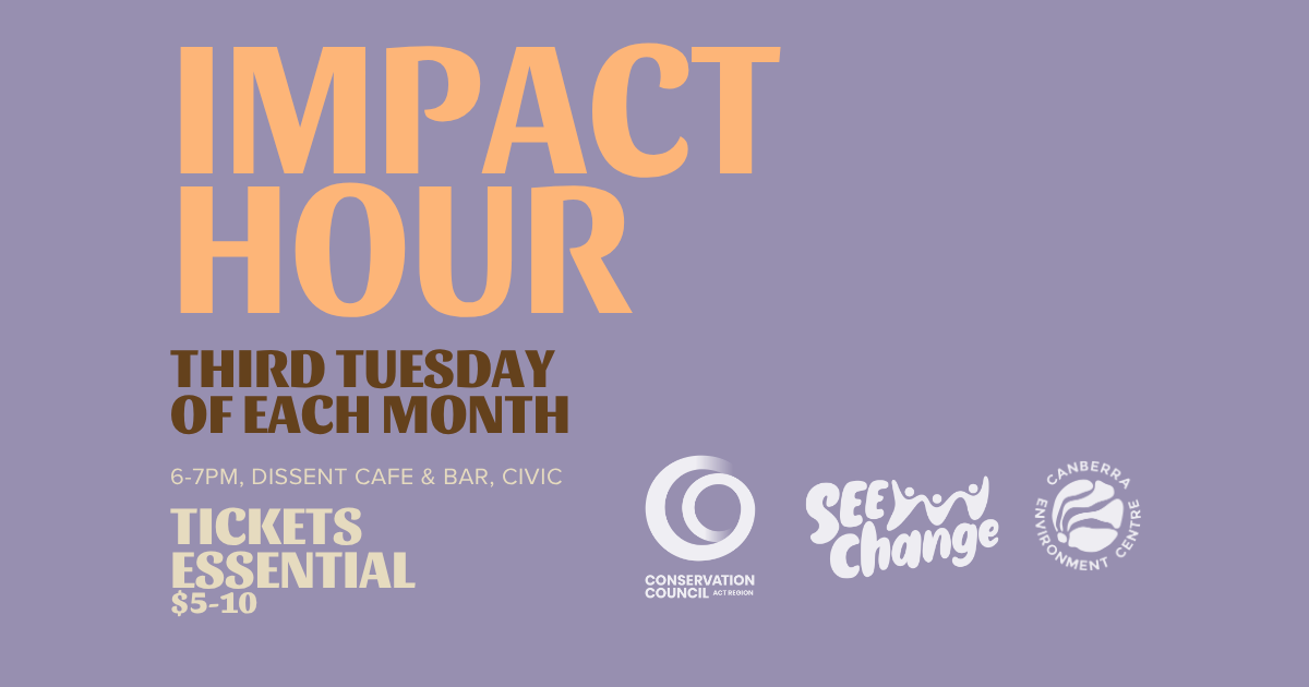 Impact Hour - Michael Mulvaney