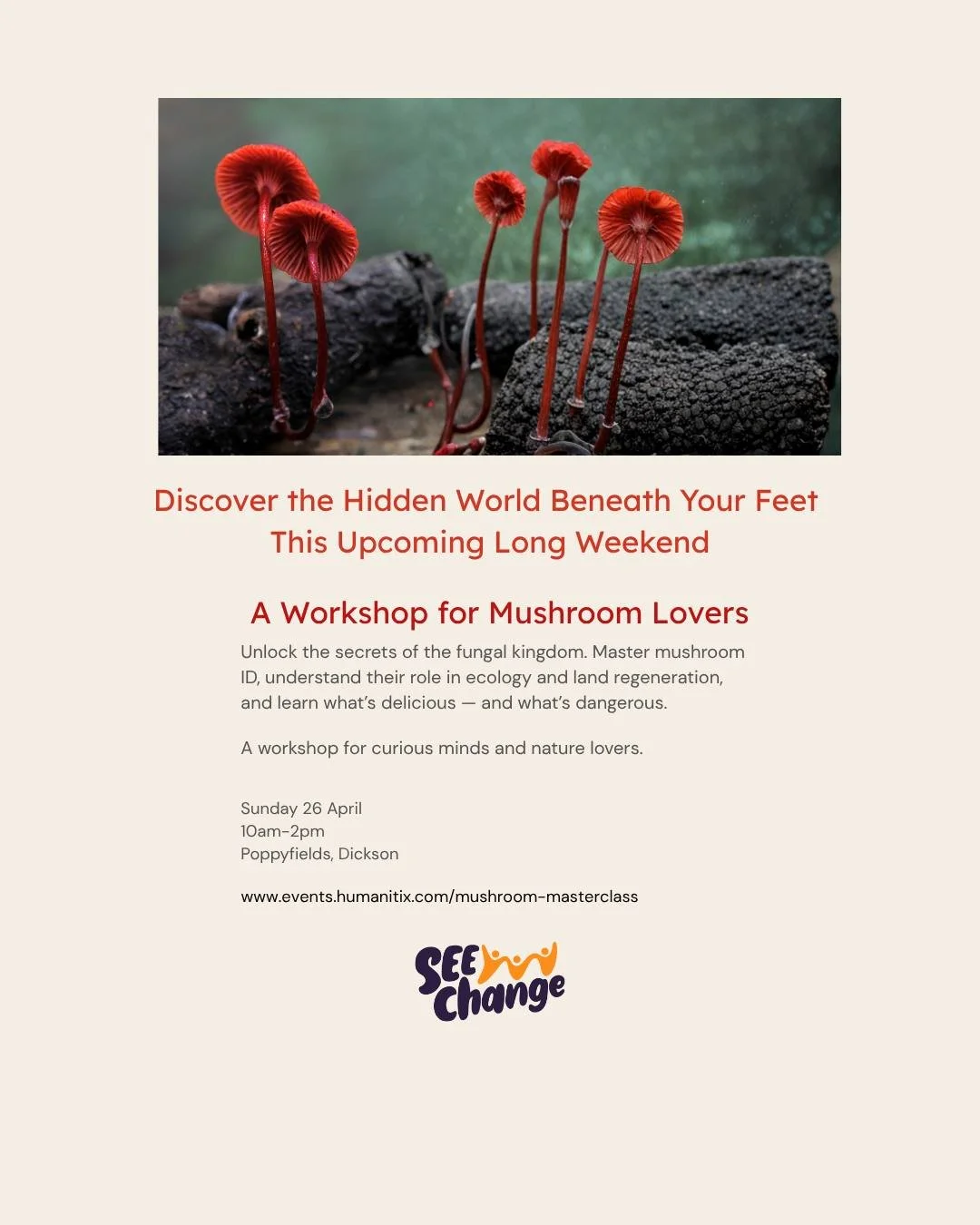 Calling all Fungi Fans! This is the workshop for you!
4 hours stacked with fabulous facts and practical pointers.

Don't miss out! Book now at the link in our bio (first link in the Linktree).