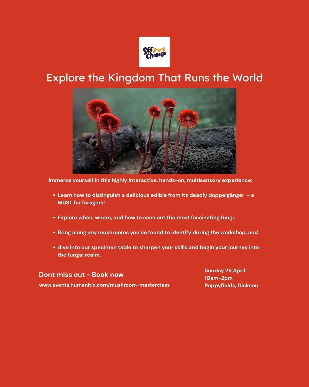 Calling all Fungi Fans! This is the workshop for you!
4 hours stacked with fabulous facts and practical pointers.

Don't miss out!  Book now!  https://events.humanitix.com/mushroom-masterclass
