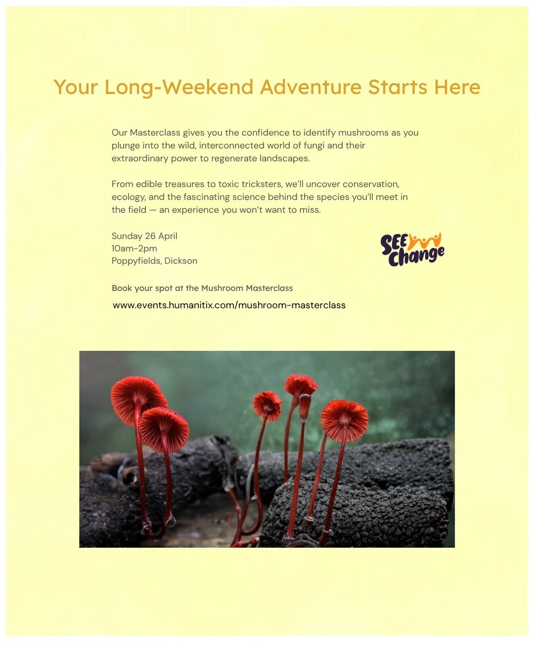 Alison Pouliot &mdash; ecologist, environmental photographer, and our speaker for the Mushroom Masterclass &mdash; has spent three decades chasing fungi across hemispheres, revealing the hidden worlds that shape our planet. 

Subsidised tickets avail