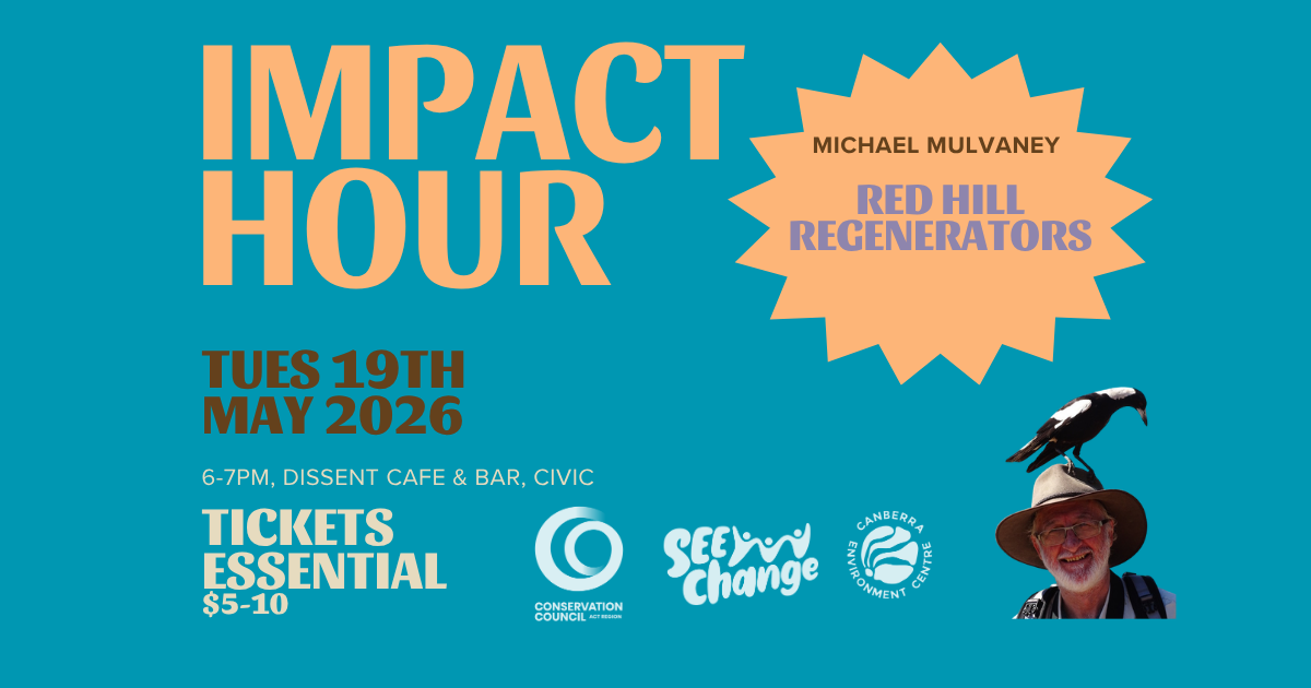Impact Hour - Michael Mulvaney