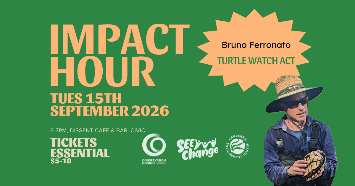 Impact Hour - Bruno Ferronato