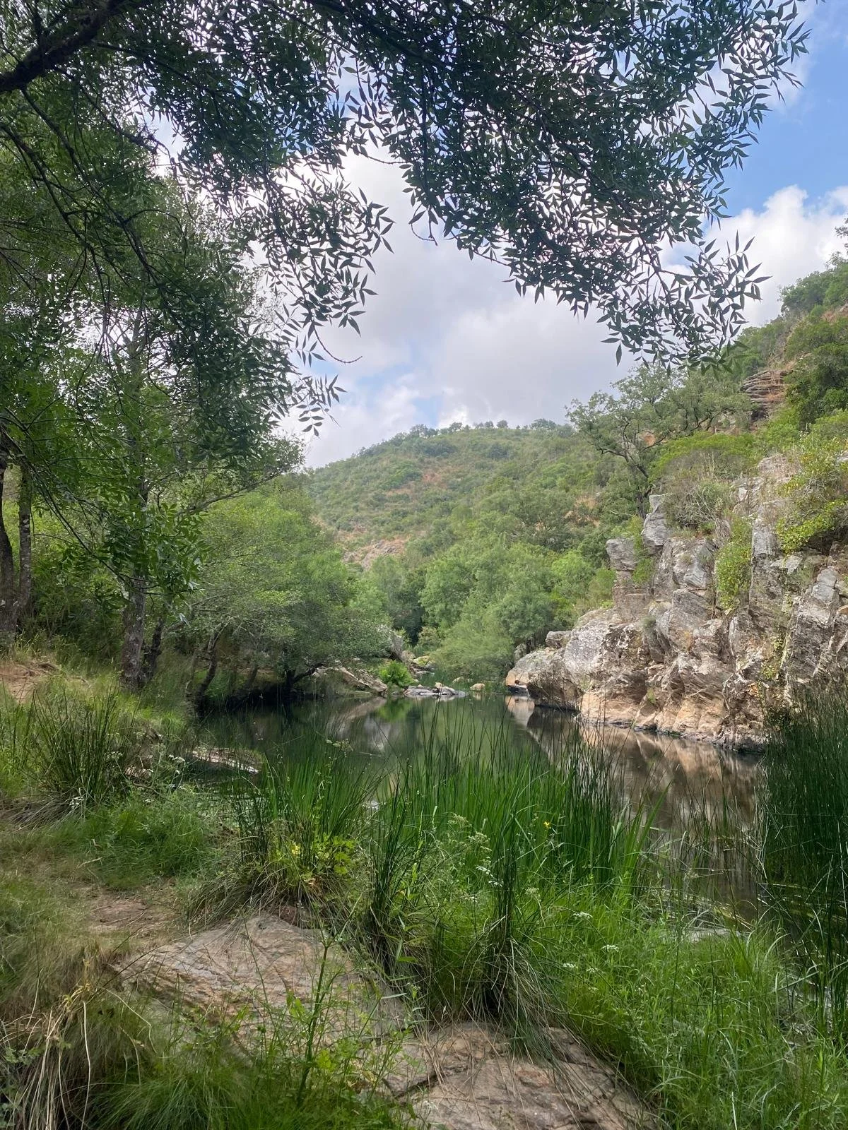 PHOTO-2025-06-14-11-04-56 5.jpg