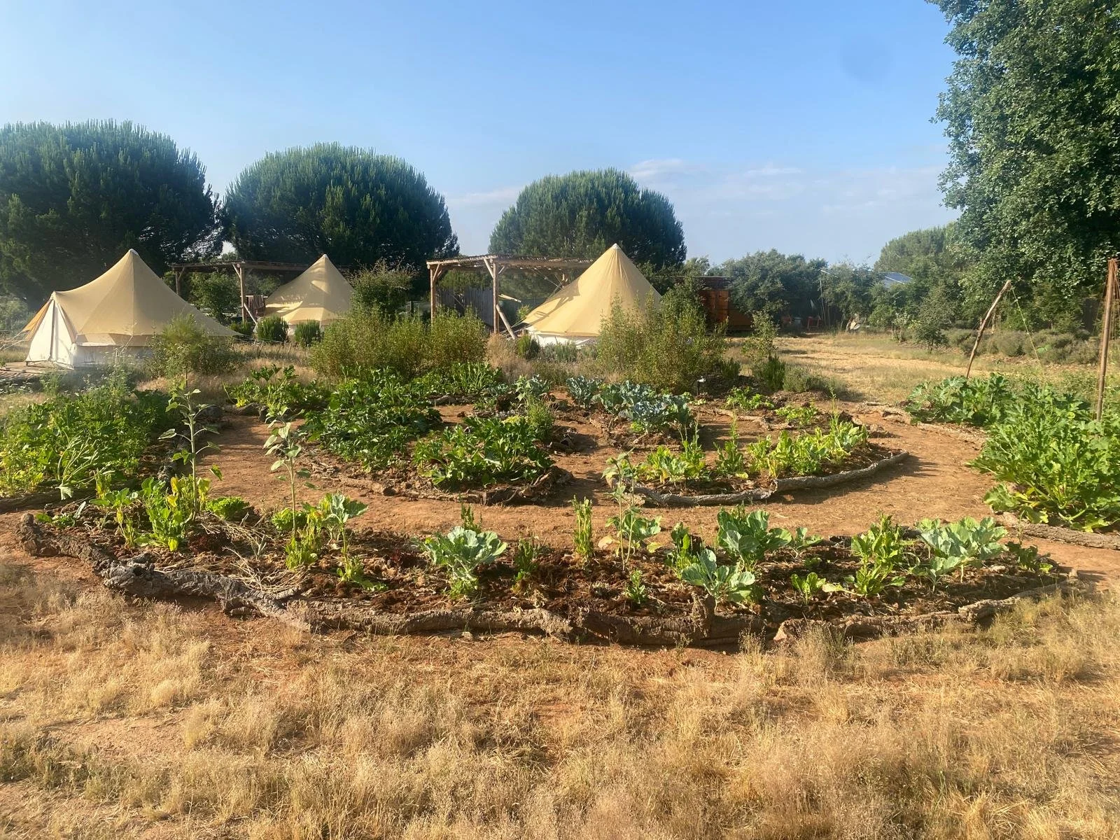 PHOTO-2025-06-14-11-04-55 3.jpg