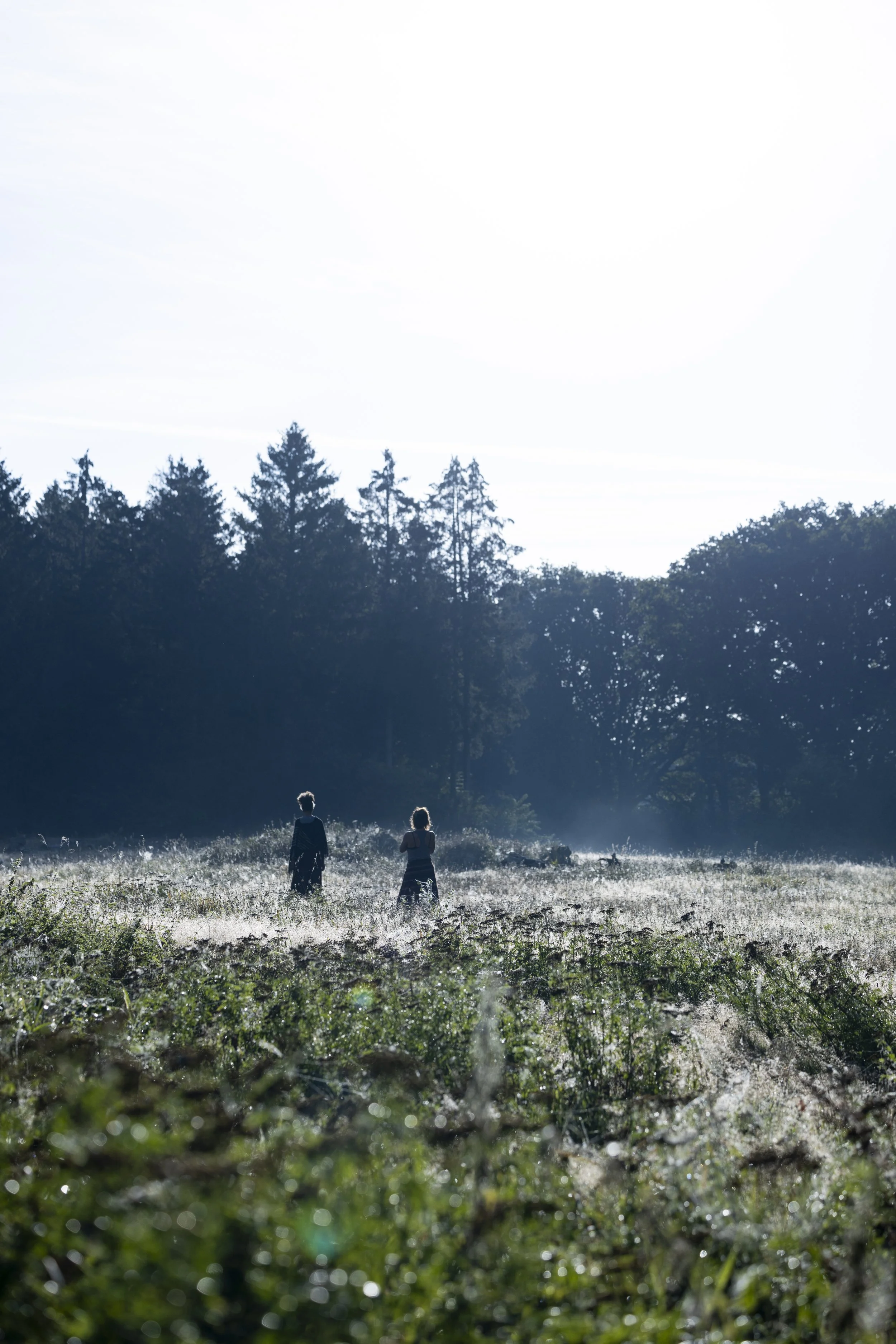 1T3A2358_Soul Nectar_unretouched_Katrin Schöning Photography.jpg