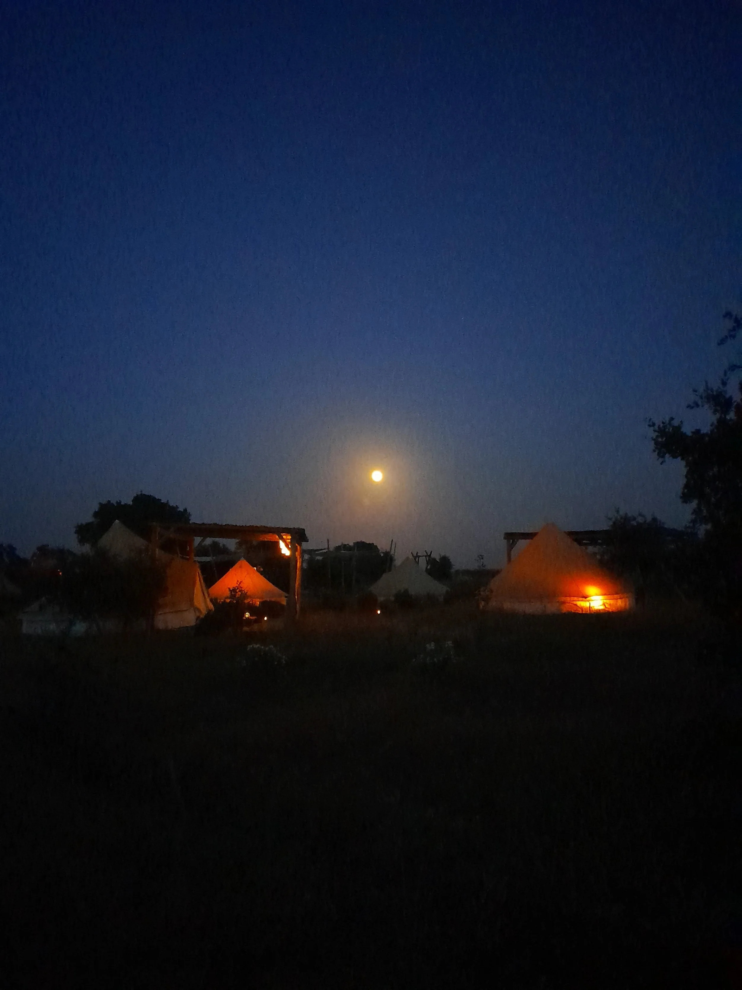 PHOTO-2025-06-14-10-35-14 3.jpg