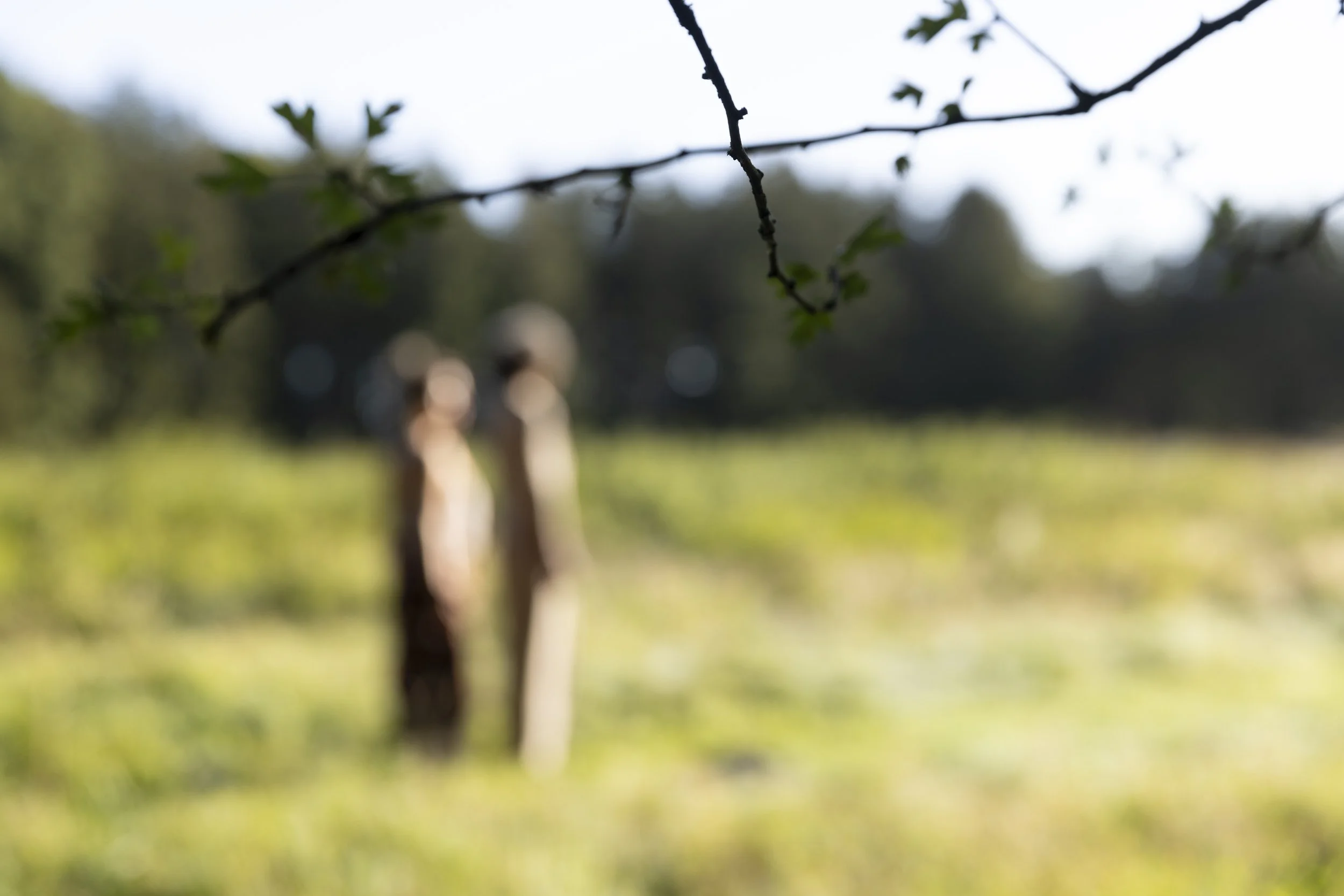 1T3A2059_Soul Nectar_unretouched_Katrin Schöning Photography.jpg