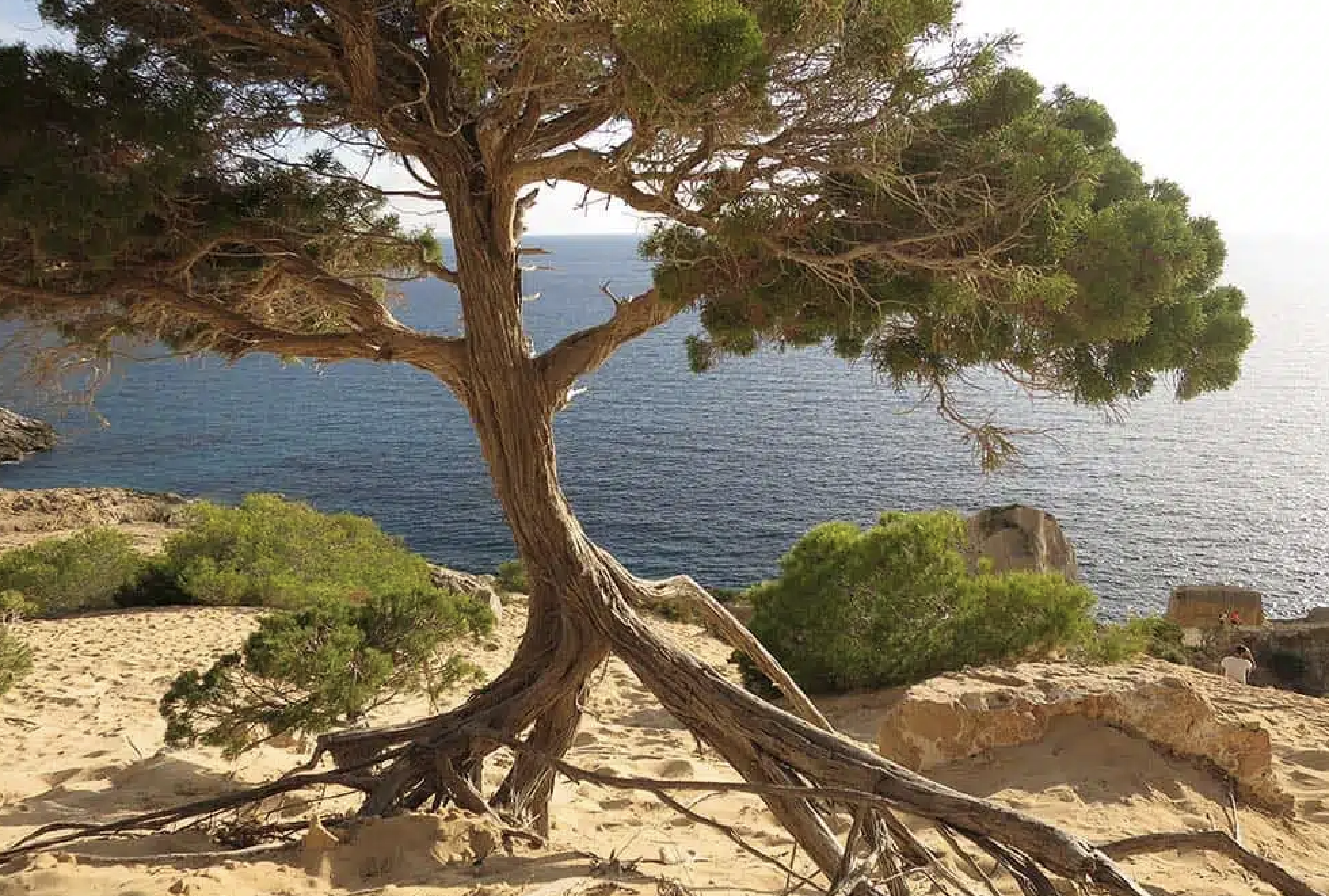 Bildschirmfoto 2026-01-19 um 15.42.17.png